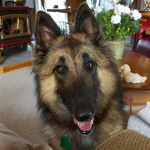 Meet your Posher, Frederick